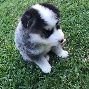 Meet your Posher, Karina